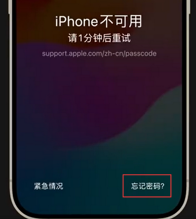 台州苹果手机密码维修分享iPhone忘记了刚设置的密码 