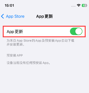 台州苹果15维修中心如何让iPhone15APP自动更新